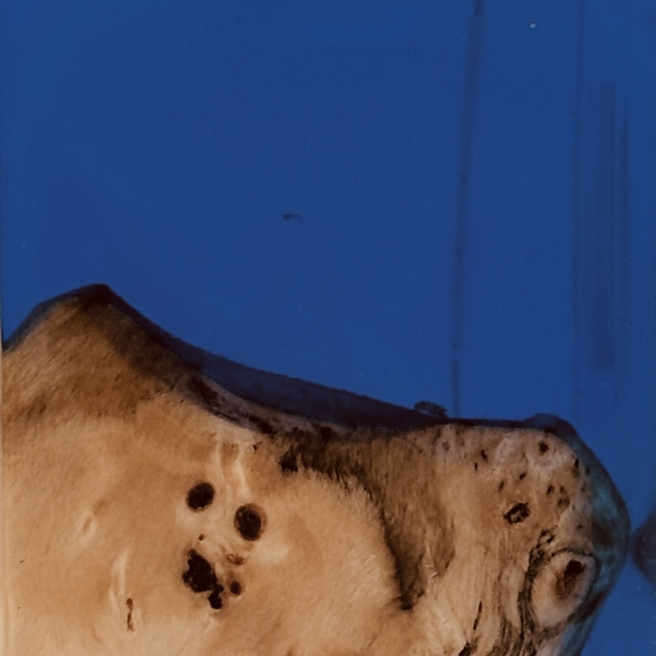 Where the Edge Decides to Drift